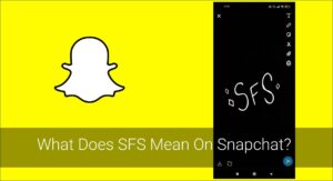 snapchat sfs