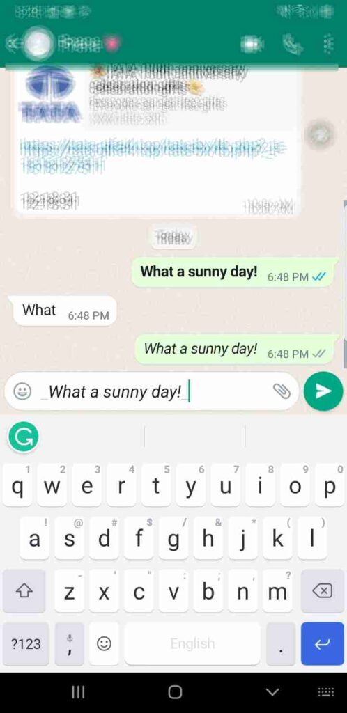 Send Italics Text In WhatsApp Messages