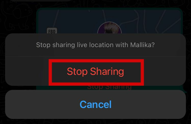 stop sharing location iphone